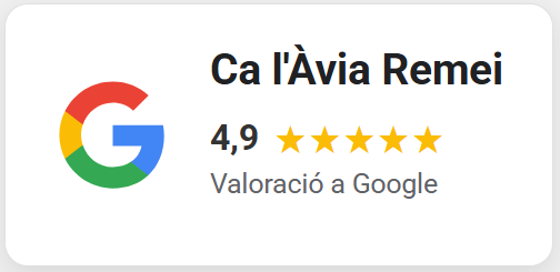 [Imatge de la puntuació a Google]